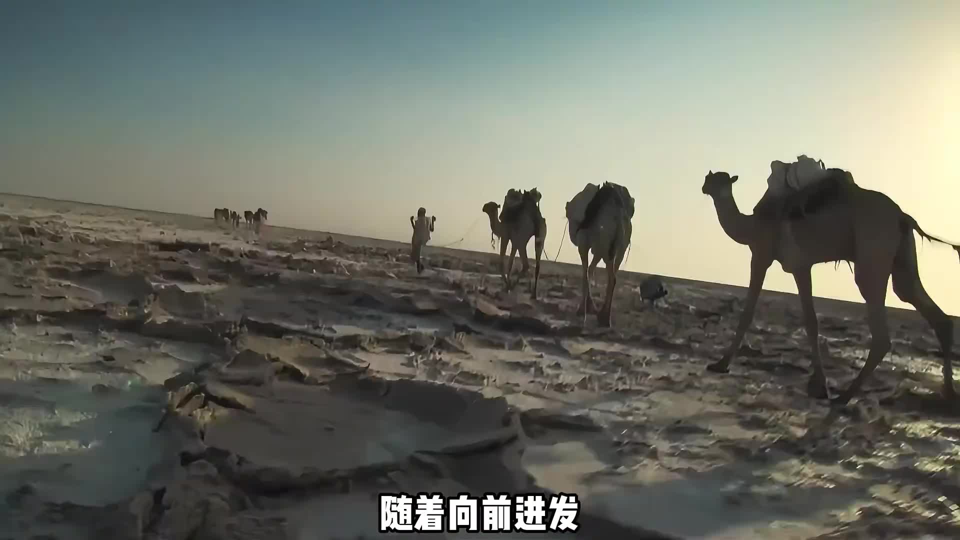 德爷创造荒野新玩法，前往埃塞俄比亚沙漠寻找六个小黑点 (2)