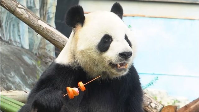 星愿有点小挑食噢