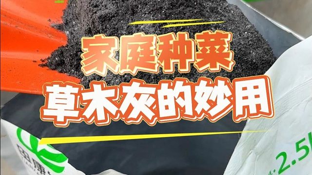 草木灰可是种菜人眼里的好东西