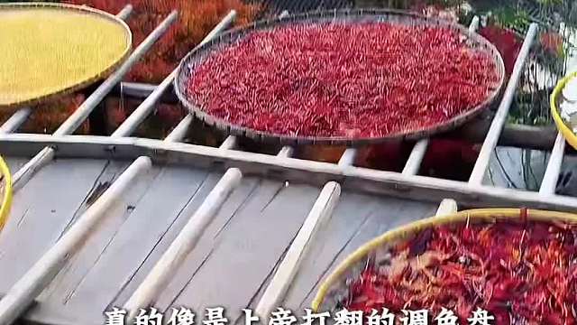 来篁岭感受浪漫啦！