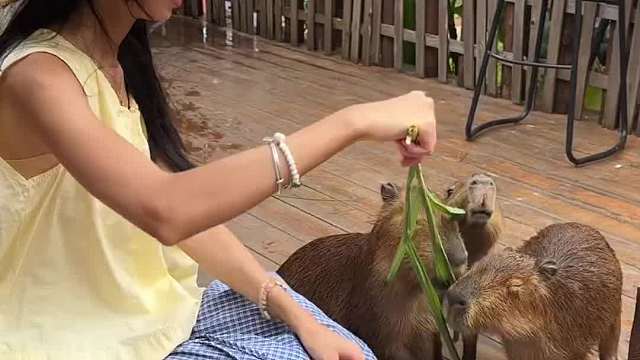 江浙沪周末放肆吸氧的地方给我找到了！