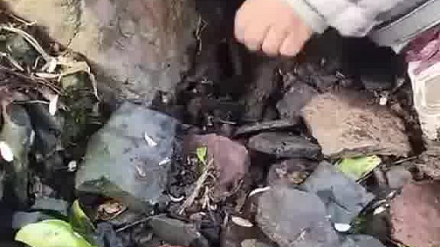 孩童费力挖出稀罕物，父亲见状瞬间石化！网友：前世因果？