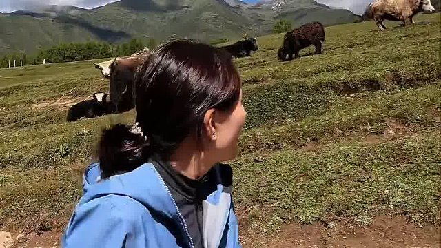 这个四姑娘山“女婿”有点意思