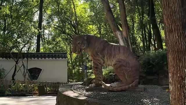 丽水一座存在感稍低的城市却有意外惊喜