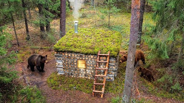 我在给小屋做防寒处理，同时躲避熊靠近，荒野中独自度过48 小时