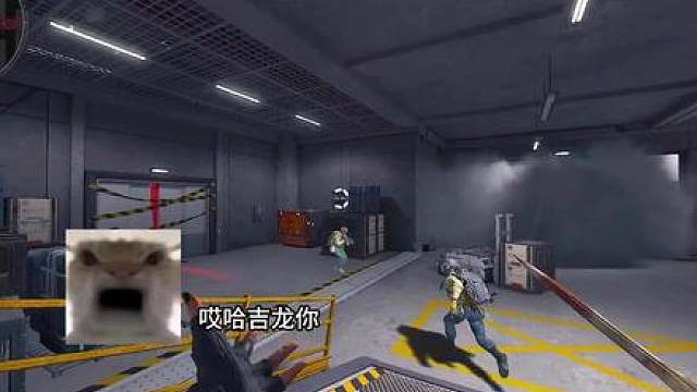 哈基龙这人能处，有事儿他是真上啊！！