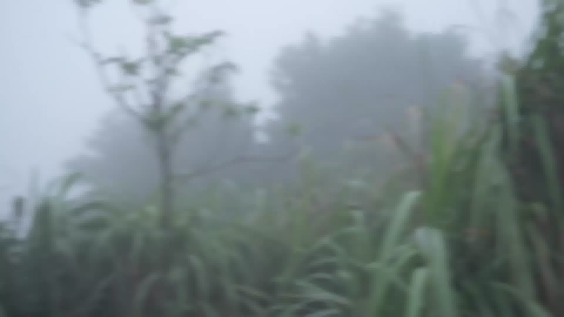 白衣持刃，傲然立于青云之巅