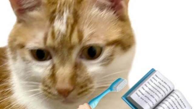 赛博人物志第68期:小明剑魔