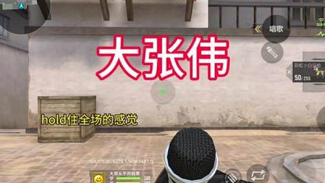 大张伟明星角色联动武器道具