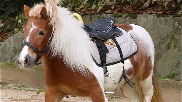 当一股强劲的音乐突然袭来...