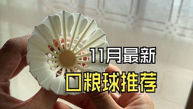 口粮球分享：25年11月四款无标口粮球推荐
