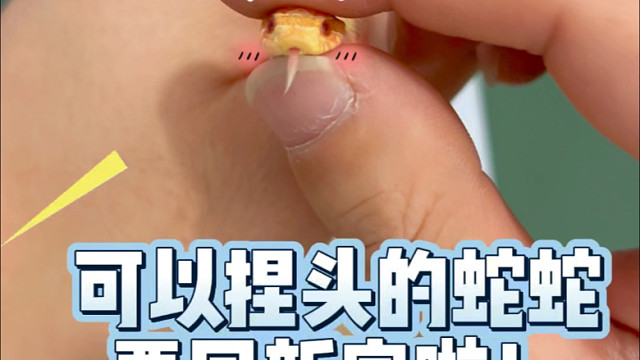 【珍妮捅了鼠窝】最新视频来袭，快来看看吧！