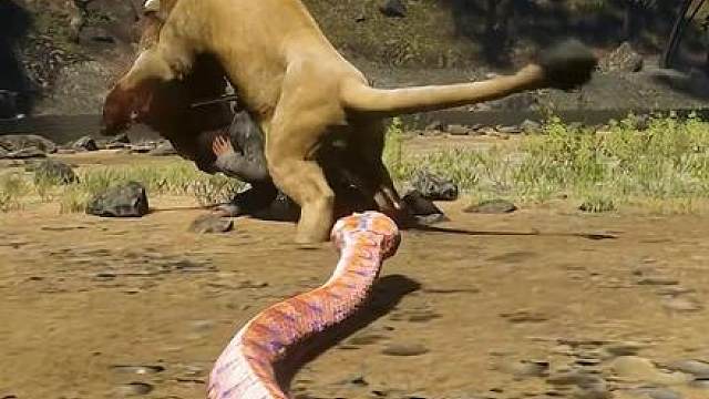 2米长的剧毒五步蛇