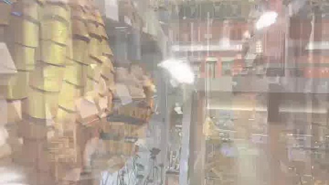 伦敦大学学院格兰特动物学博物馆