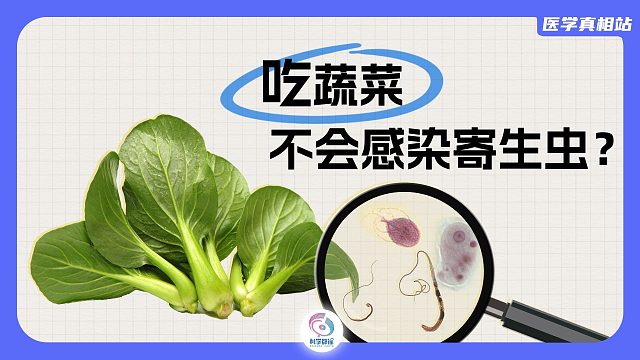吃蔬菜不会感染寄生虫？