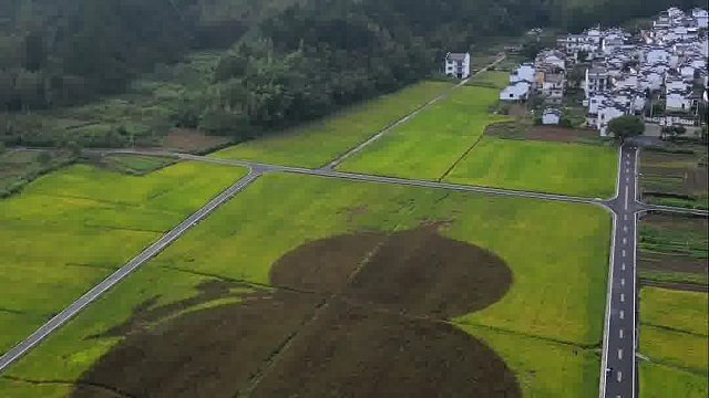 这是一个不简单的旅行