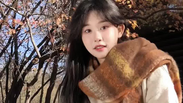 我在哈尔滨捡到了秋天