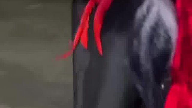 申鹤无人能抗住的魅力