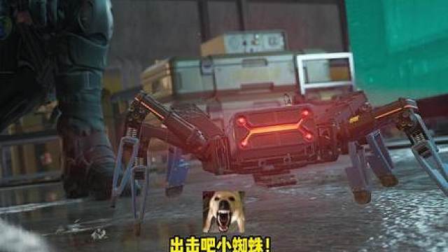 出击吧，小积猪！也是当上长官了，手底下四个积猪