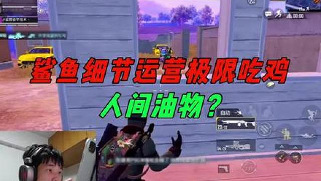 《鲨鱼是真正的人间油物？高端局占点运营细节打法！》