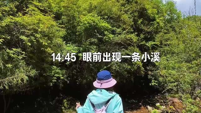 “你要去看更大的世界才能稀释痛苦” 于是，我开始走向没有天花板的地方