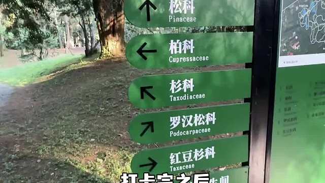 总要来一趟杭州吧！这个季节的杭州太美啦