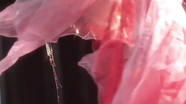 我本无名，奈何入了你眼