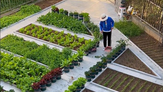 这种小院生活，是你喜欢的吗？