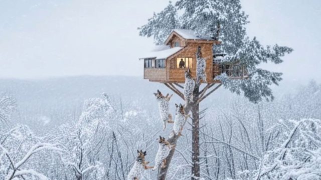 独自一人在零下-70摄氏度的冰冻沙漠中，冰钓生存48小时！