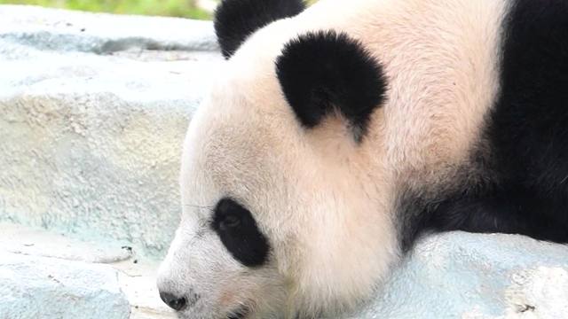 星语：这水越喝越困