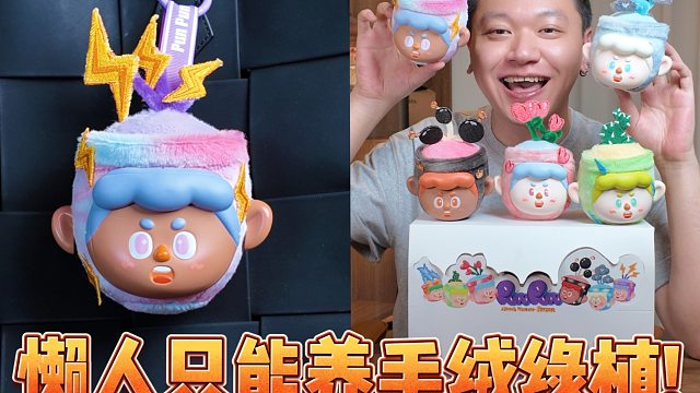 适合懒人养的毛绒盆栽，随心情更换！