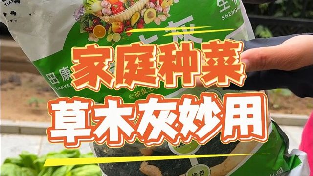 烧柴火的这把灰别扔，它可是好东西