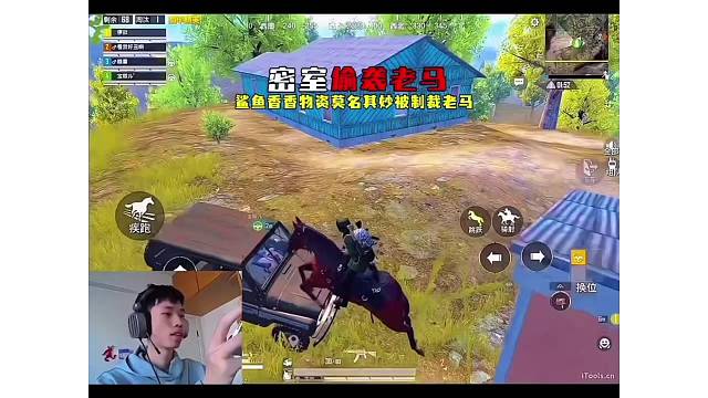 队友驱车万里赶来制裁鲨鱼的老马，还在密室香香的鲨鱼一脸懵圈