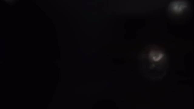 我与旧日事归于尽 来年依旧迎花开