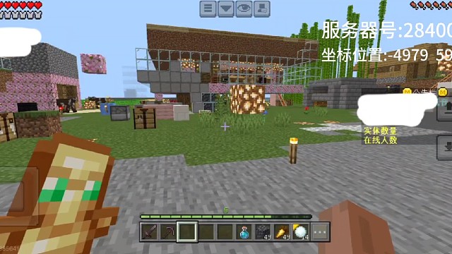 我的世界八哥生存服务器