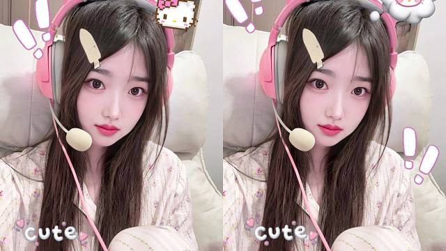 猫咪的世界下起了小鱼