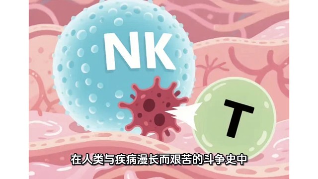 免疫回输：瞬时守护，全年无休。揭秘免疫细胞1小时到1年的生命征程。
