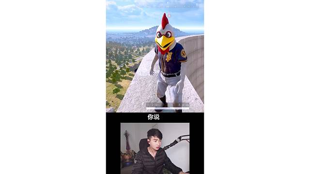 下蛋公鸡公鸡中的战斗鸡