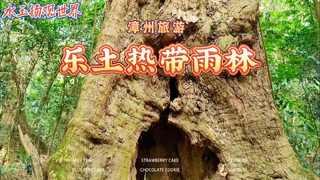 漳州南靖乐土雨林：藏在闽南的绿野仙踪，是时光沉淀的守护传奇