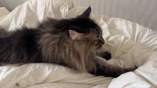 摸鱼了老铁下午不播