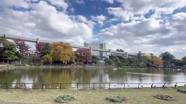 我的妹妹哪有那么可爱-巡礼千叶公园