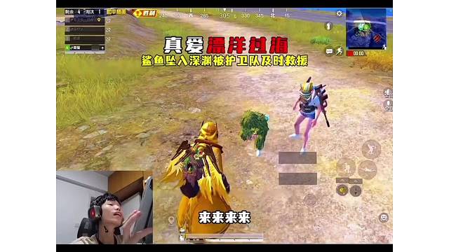 鲨鱼不慎坠入海底深渊，真爱粉驱船而来拯救鲨鱼