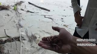 剛到印尼第一天