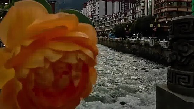 走在康定溜溜的城哟