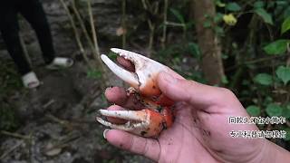 印泥海島求生-片段2