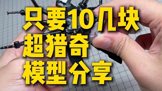 这又是什么小强？