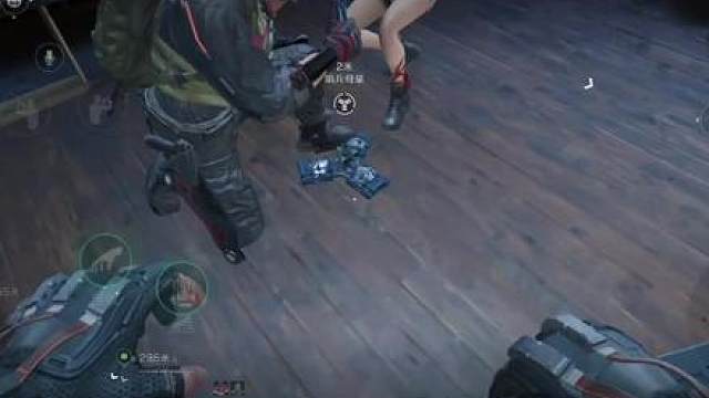 对面：总裁走廊三只耄耋！