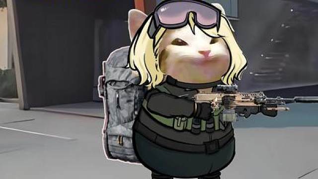 当你遇到了双排CS队友如何反制