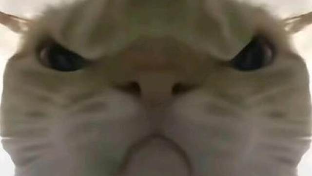 三角洲系统怎么回事？