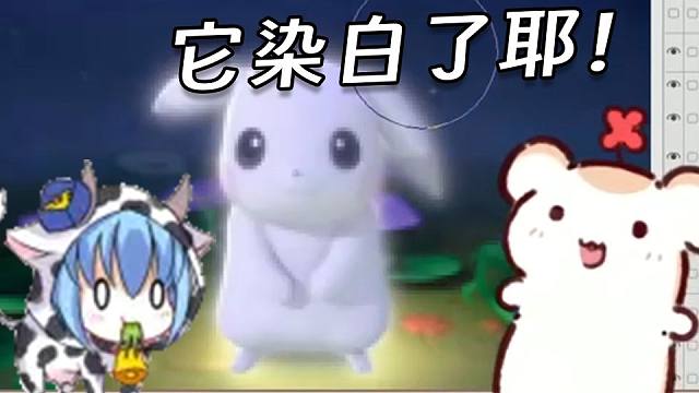 听到皮卡丘染白了 仓鼠太太非常激动！